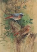 AR ROLAND GREEN (1896-1972) Garden birds watercolour, signed lower left 25 x 18cms, mounted but