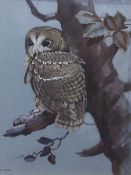 AR FRANK JARVIS (20TH CENTURY) "Tawny owl" watercolour and gouache, signed and dated '98 lower