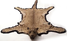 Taxidermy leopard skin by Van Ingen & Van Ingen