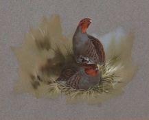 AR BRIAN REED (born 1934) English Partridge watercolour, signed lower left 16 x 20cms