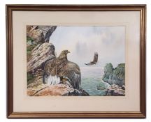 AR CARL DONNER (CONTEMPORARY) White-tailed Sea Eagles watercolour, signed lower right 50 x 70cms