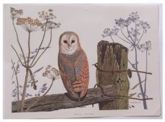 AFTER MICHAEL BIGNOLD Owl and Eagle pair of coloured prints 45 x 60cms, both unframed