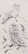 AR JOHN BUSBY, SWLA (born 1929) "Two Snowy Owls" pencil sketch, initialled and dated 99 lower