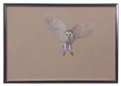 AR ERIC ARNOLD ROBERTS ENNION (1900-1981) Barn Owl in flight watercolour and gouache 28 x 40cms