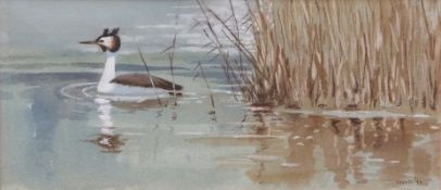 AR FRANK JARVIS (20TH CENTURY) "Grebe" watercolour, signed and dated 92 lower right 12 x 26cms