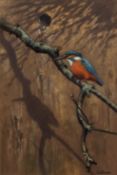 E D TINNE (20TH CENTURY) “Kingfisher at nesting hole” pastel, signed lower right,40 x 26cms,