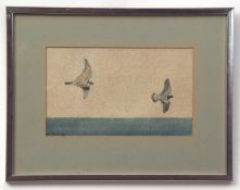 AR JOHN BUSBY, SWLA (born 1929) Peregrine chasing a pigeon watercolour, signed and dated 83 lower