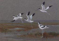 ATTRIBUTED TO ROLAND GREEN (1896-1972) Avocet watercolour, unsigned 25 x 36cms