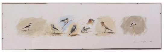 AR BRUCE EDWARD PEARSON (born 1950) Bird studies set of four watercolours, signed and dated 1988