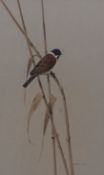 AR RAYMOND WATSON (born 1935) "Reed Bunting" watercolour, signed lower right 40 x 25cms