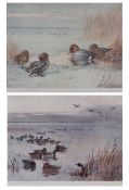 ARCHIBALD THORBURN (1860-1935) Mallard and Teal two coloured prints, published by A Baird Carter