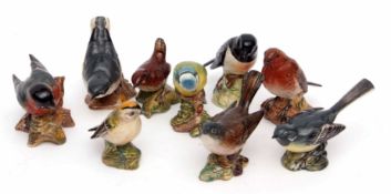 Collection of primarily Beswick ware birds including a Stonechat, Nuthatch, Wren and Grey Wagtail (