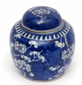 Late 19th/early 20th century Chinese ginger jar and cover, the blue wash ground decorated with