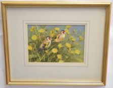 Neil Cox, watercolour, signed lower left, Goldfinches, 17 x 25cms