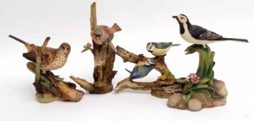 Group of Parian porcelain models of birds in naturalistic colours, manufactured by Coalport (4)