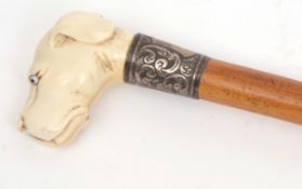 Late 19th century ivory handled walking cane, the handle carved in the form of a dog's head with