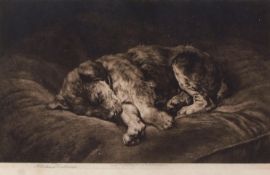 HERBERT THOMAS DICKSEE (1862-1942) "On Velvet" black and white etching, published by Frost & Reed