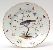 Meissen ornithological plate decorated with a bird on a branch surrounded by butterflies and