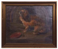 ENGLISH SCHOOL (19TH CENTURY) A Norfolk terrier oil on canvas 61 x 74cms