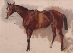 ATTRIBUTED TO GEORGE PAICE (1854-1925) Horse study oil on paper, circa 1890 18 x 24cms