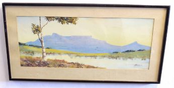 H Anderson, signed gouache, Lakeland scene, 20 x 50cms