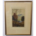 Reginald Green, signed coloured etching, Lakeland scene, 24 x 16cm