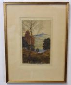Reginald Green, signed coloured etching, Lakeland scene, 24 x 16cm