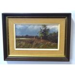 Pamela Derry, signed oil on board, Country scene, 12 x 22cm