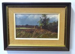 Pamela Derry, signed oil on board, Country scene, 12 x 22cm