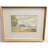 Walter Duncan, signed watercolour, Landscape with sheep grazing, 19 x 27cms