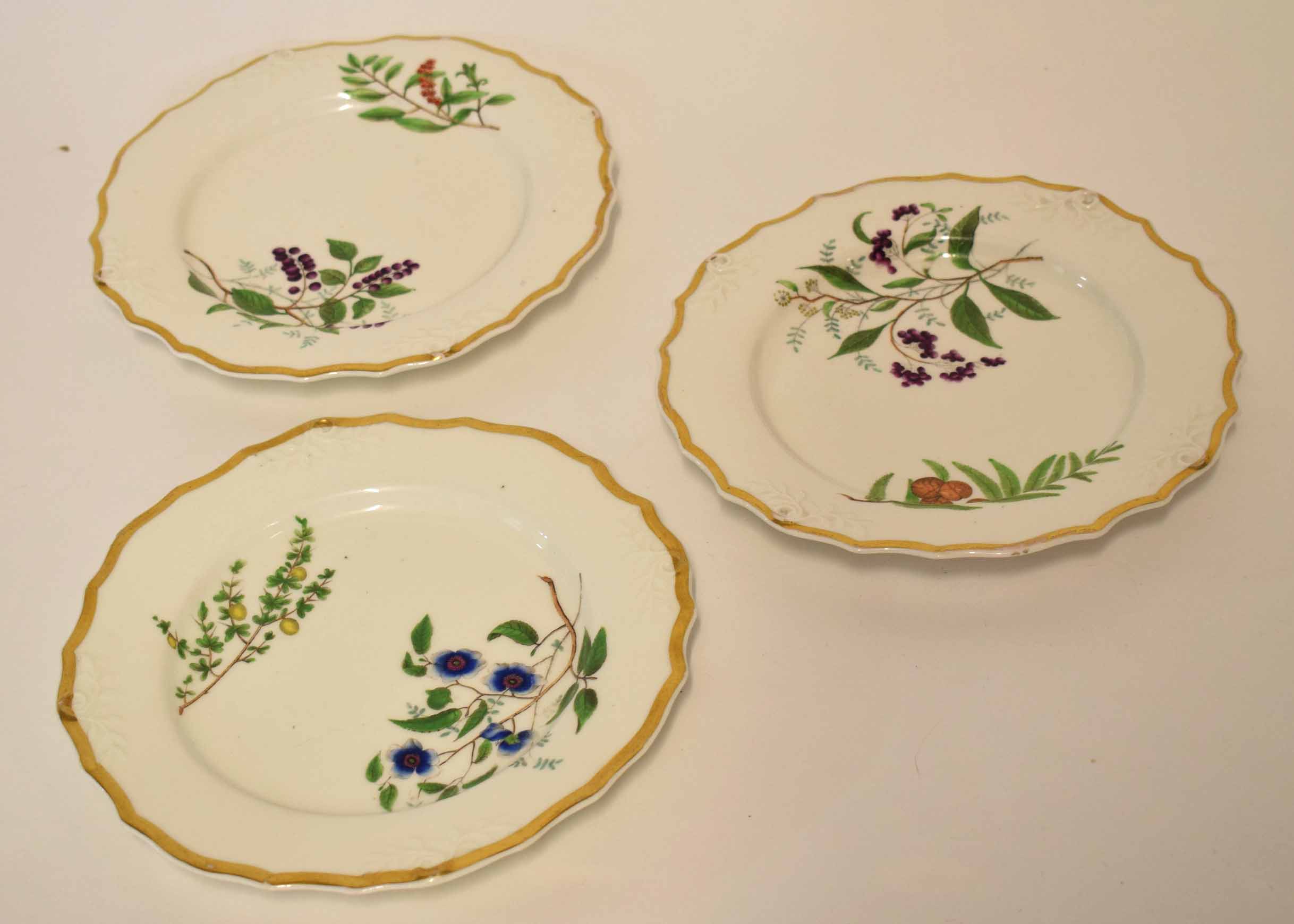 Group of three English 19th century porcelain plates with gilded rims decorated in botanical style