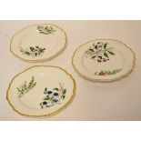 Group of three English 19th century porcelain plates with gilded rims decorated in botanical style