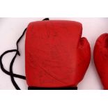 Pair of BRYAN boxing gloves, signed by various including Reg Gutteridge, Ron Pudney, Dick Richardson