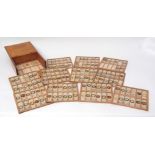 Early 20th century pine microscope slide case fitted with twelve slide out trays and fitted with 150