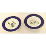 Pair of mid-19th century Blore Derby botanical plates, the blue borders and gadroon rims with