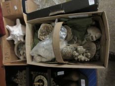 TWO BOXES OF MIXED SHELLS CORAL ETC