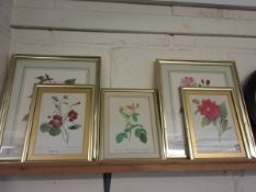 MIXED LOT OF FIVE BOTANICAL PRINTS