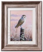 Mark Chester (contemporary), "Winter morning - Barn Owl", acrylic, signed lower right, 28 x 21cm