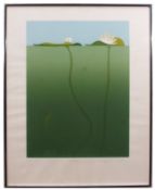 •AR Tully Crook (born 1938), "Water Liliy", screen print, signed and numbered 101/200 in pencil to