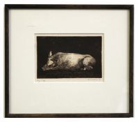 •AR Franz Wesselman (born 1953) "Pig", black and white etching, signed, dated 92, 12/60 and