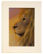 •AR Vic Bearcroft (contemporary), Lion's Head, pastel, signed lower right, 45 x 30cm, mounted but