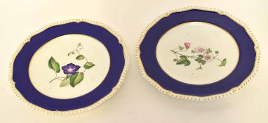 Pair of mid-19th century Blore Derby botanical plates, the blue borders and gadroon rims with