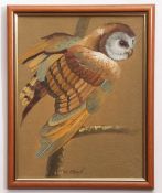 W Steele, signed oil on board, Barn Owl, 35 x 26cm