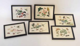 Collection of six 19th century Chinese watercolours on rice paper or pith, in black wooden frames,