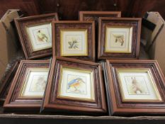 BOX CONTAINING MIXED MODERN MAPLE FRAMED ROSEMARY BOWBEKIN ORIGINAL WATERCOLOURS OF ANIMALS