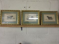 FIVE GILT FRAMED BOOK PLATES OF CATTLE