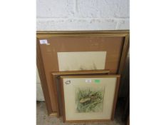 KEITH MAUGHAN, SIGNED GROUP OF THREE WATERCOLOURS, TOADSTOOLS AND FUNGUS, ASSORTED SIZES, (3)