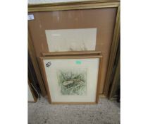 KEITH MAUGHAN, SIGNED GROUP OF THREE WATERCOLOURS, TOADSTOOLS AND FUNGUS, ASSORTED SIZES, (3)