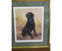 JOHN TRICKETT SIGNED PRINT OF A LABRADOR