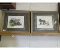 TWO FRAMED AND COLOURED BOOK PLATES OF A LION AND TIGER TOGETHER WITH A FURTHER LION AND SNAKE (2)